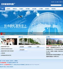从零到一流 耐思尼克助力企业建站的成功案例解析